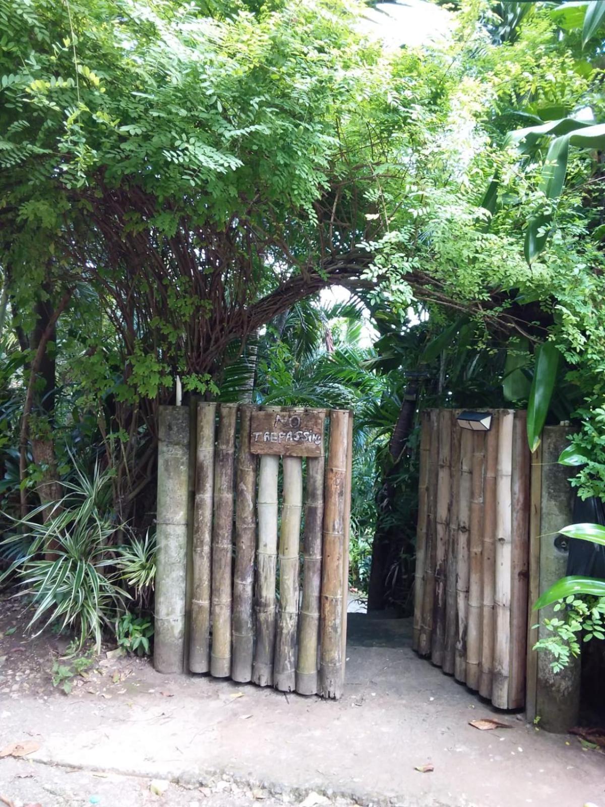 Port Antonio Brian'S Beach House Exterior foto