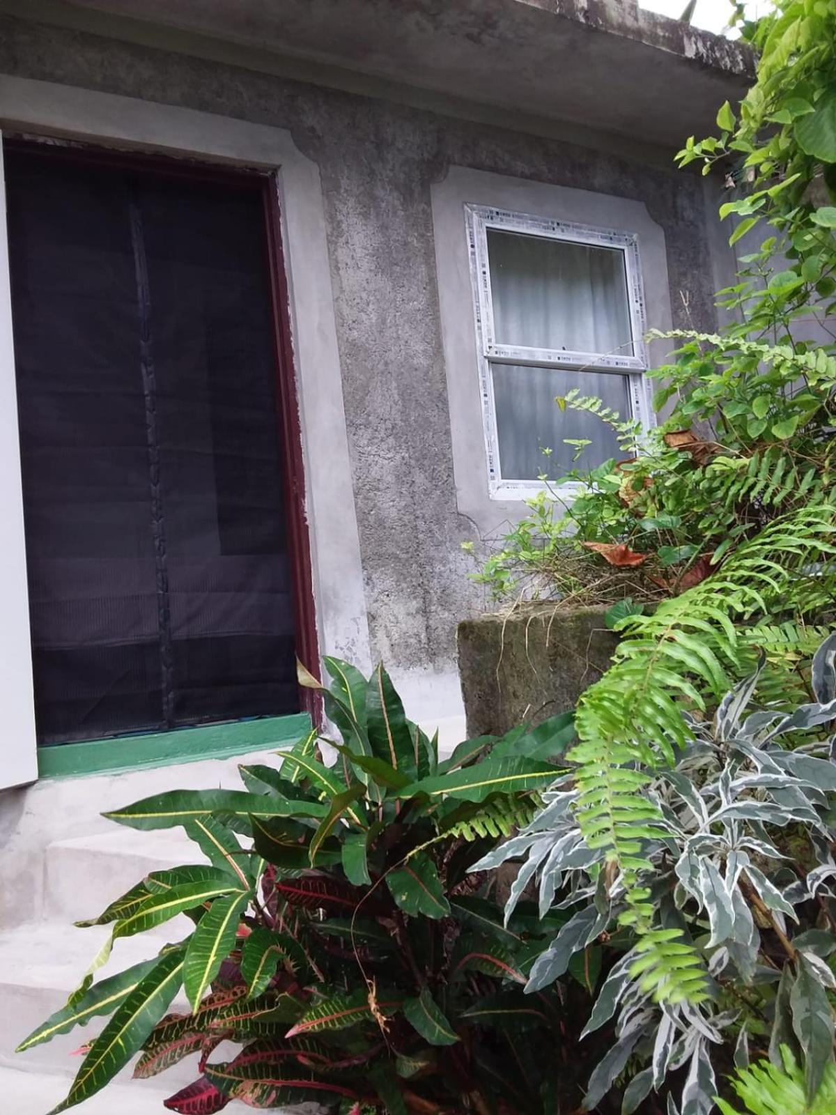 Port Antonio Brian'S Beach House Exterior foto